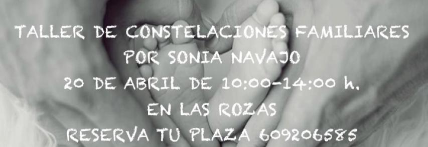 Taller de Constelaciones Familiares